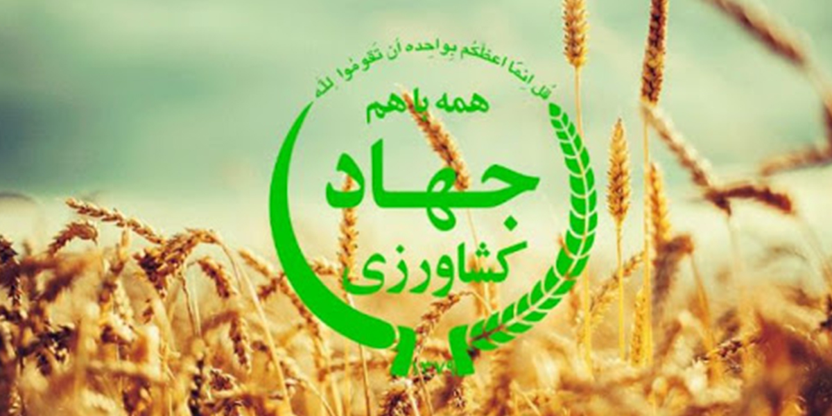 وزارت جهاد کشاورزی لیست نظر دستگاه و تخصیص ارز کالاهای کشاورزی را اعلام کرد + لیست